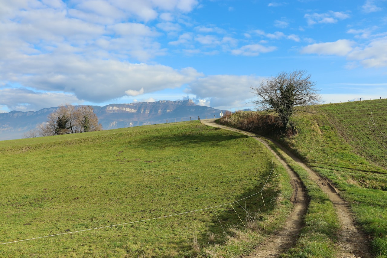 Paysage de montagne et pâturages de nos régions productrices