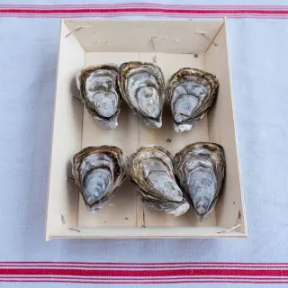 Huîtres Spéciales Normandes de Saint-Vaast