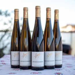 Gewurztraminer Grand Cru Zinnkoepflé - Domaine Haag