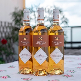 Jurançon Blanc Moelleux  (bio) - L’ENVIE (Béarn)