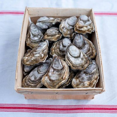 Huîtres Spéciales Normandes de Saint-Vaast