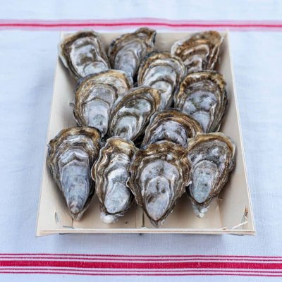 Huîtres Spéciales Normandes de Saint-Vaast