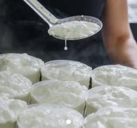 Brocciu Frais au lait de Brebis (Corse)