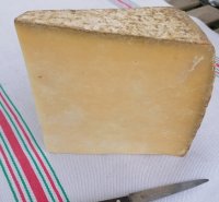 Salers Tradition (le véritable Salers)