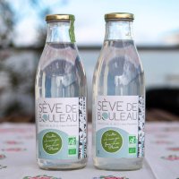 Sève de Bouleau bio pasteurisée du Pays Catalan