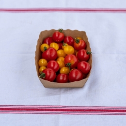 Tomates Cerises de Meudon