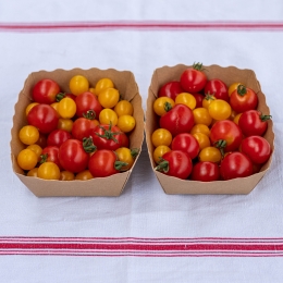 Tomates Cerises de Meudon