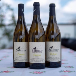 Saumur Blanc - Chenin - Les Ruaults